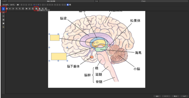 穴埋め画像問題編:作成実践(まとめ)