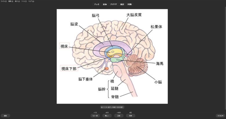 穴埋め画像問題編:解答②