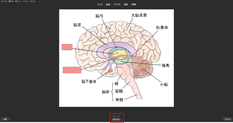 穴埋め画像問題編:解答