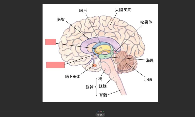 穴埋め画像問題編
